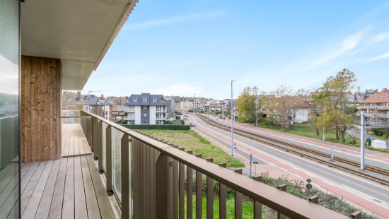 Koninginnelaan - 100 - 02.14 - 8670