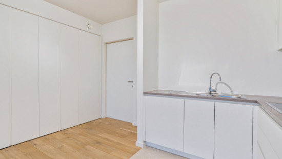 Koninginnelaan - 100 - 02.14 - 8670