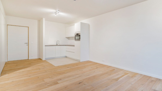 Koninginnelaan - 100 - 02.14 - 8670