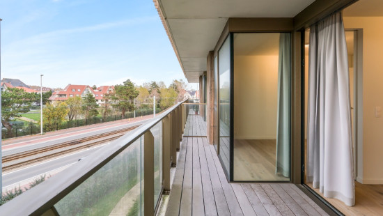 Koninginnelaan - 100 - 02.14 - 8670