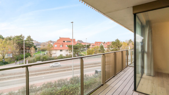 Koninginnelaan - 100 - 02.14 - 8670