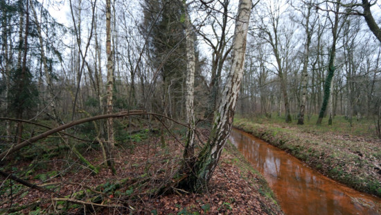 De heide - X - - 3201