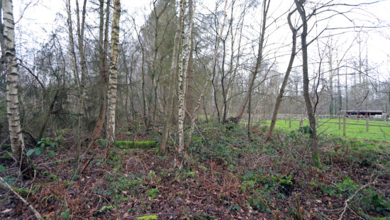 De heide - X - - 3201