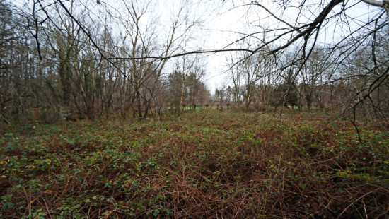 De heide - X - - 3201