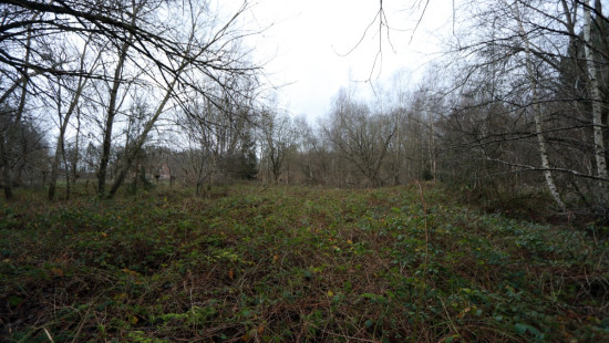 De heide - X - - 3201