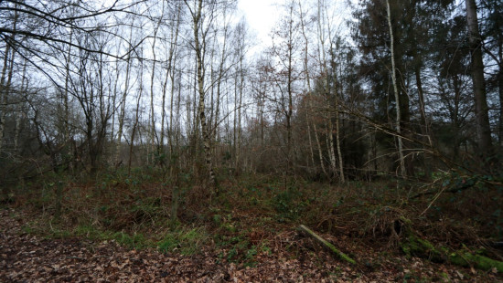 De heide - X - - 3201