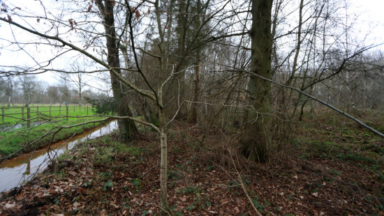 De heide - X - - 3201