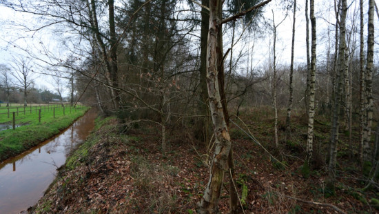 De heide - X - - 3201