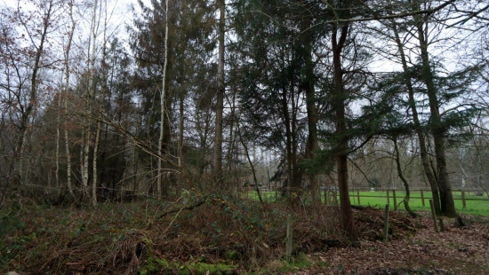 De heide - X - - 3201