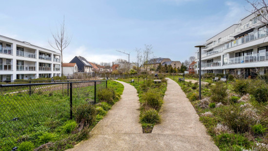 Zuidburgweg - 48 - 0106 - 8630