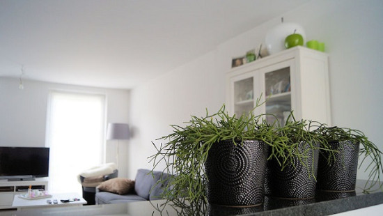 Brugsestraat - 8 - 11 - 8500