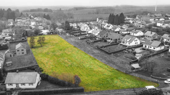 Entre Deux Hayes - 0 - - 6670