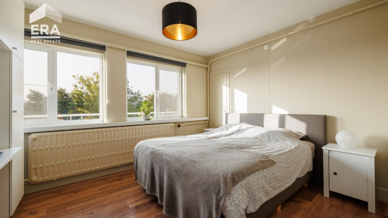 Steenweg op Antwerpen - 13 - 8 - 2300