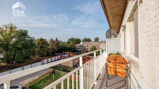 Steenweg op Antwerpen - 13 - 8 - 2300