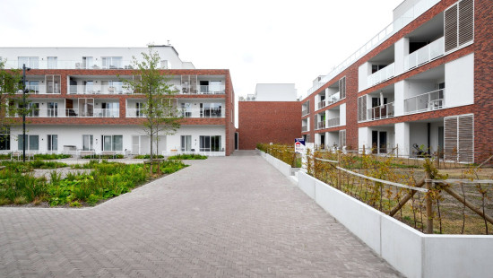 Pioniersplein - ZN - - VL.C.0.04 - 8550