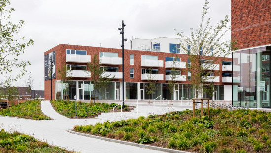 Pioniersplein - ZN - - VL.C.0.04 - 8550