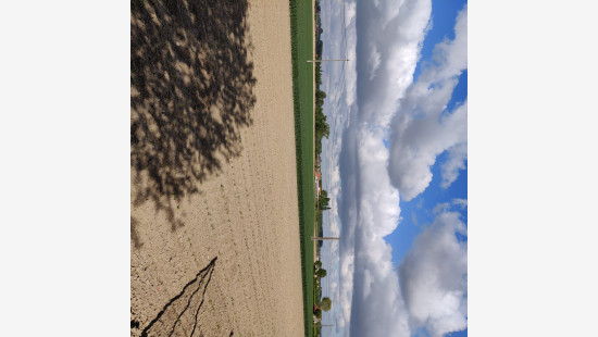 Blekerijweg - 45 - - 8972