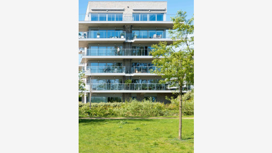 Lepelaarstraat - 3 - Bus 502 - 2050