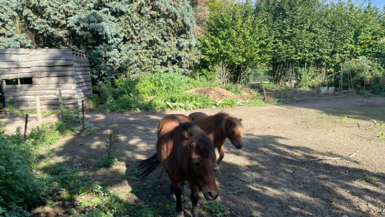 Chaussée de Wervicq - 468 - - 8940