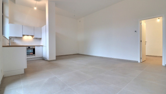 Rue du Tir de Ronet - 31-35 - - 1.B.08 - 5020