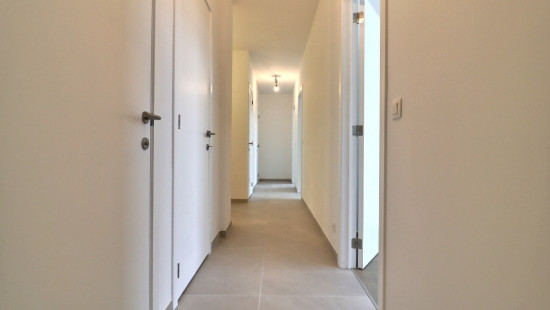 Rue du Tir de Ronet - 31-35 - - 1.B.08 - 5020