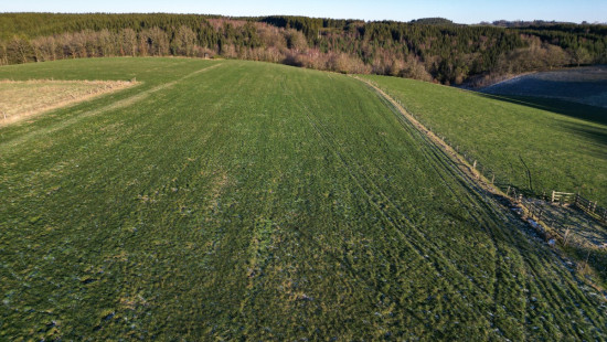 Rue de la Grève - 0 - - 6660