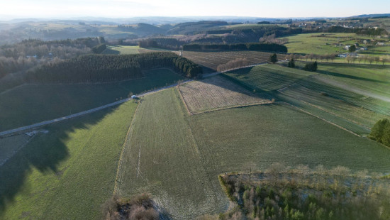 Rue de la Grève - 0 - - 6660