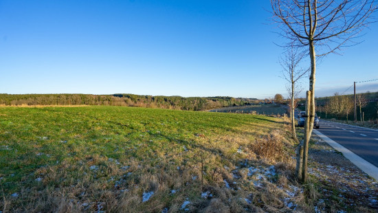 Rue de la Grève - 0 - - 6660