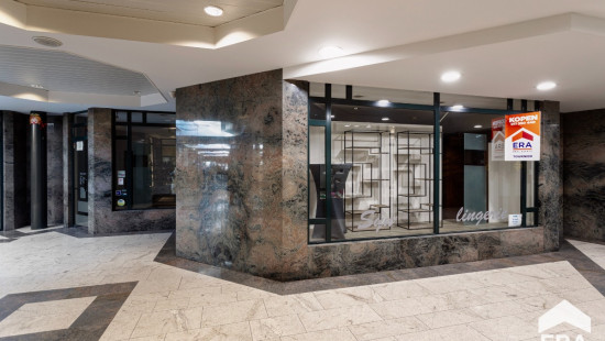 Kerkstraat - 61 - 1 - 3920