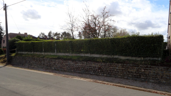 Zavelstraat - 23 - - 3370