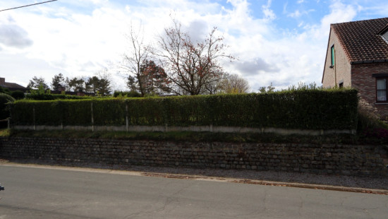 Zavelstraat - 23 - - 3370