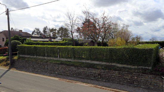 Zavelstraat - 23 - - 3370