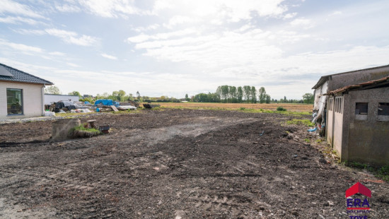 Hogerheistraat - 55 - - 1880