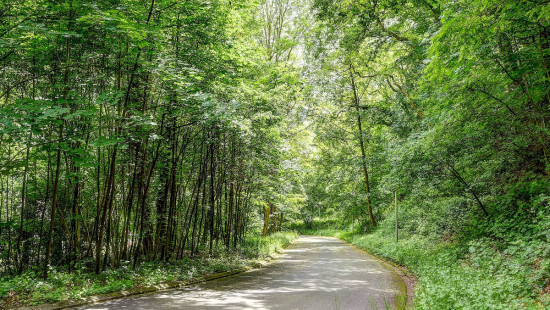 Malpertuusberg - 11 - - 3090