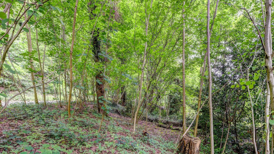 Malpertuusberg - 11 - - 3090