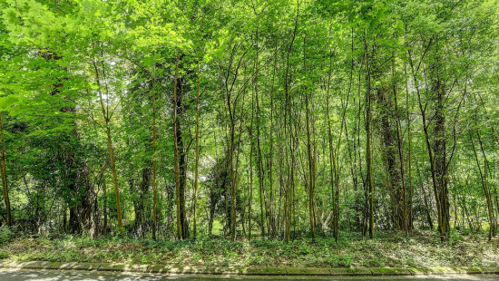 Malpertuusberg - 11 - - 3090