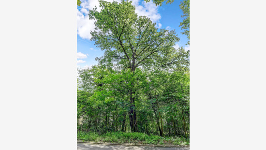 Malpertuusberg - 11 - - 3090