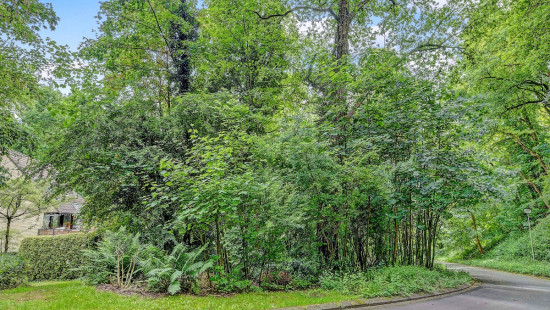 Malpertuusberg - 11 - - 3090