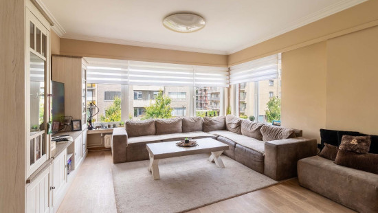 Armand Segerslei - 127 - 2 - 2640