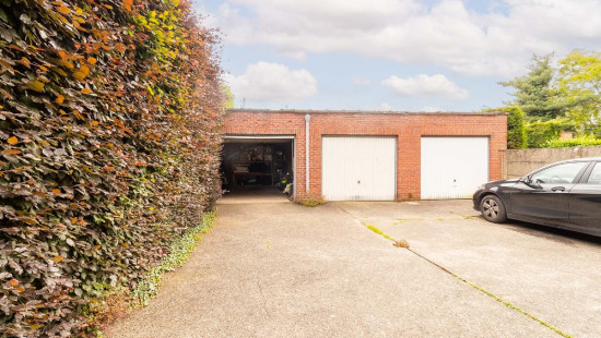 Armand Segerslei - 127 - 2 - 2640