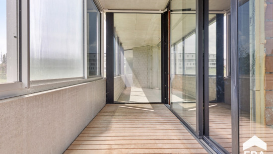 De Drie Kreeften - 19 - - 3000