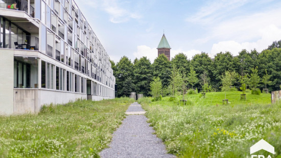 De Drie Kreeften - 19 - - 3000