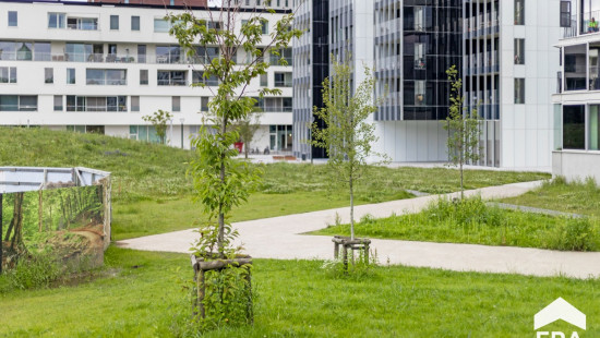 De Drie Kreeften - 19 - - 3000