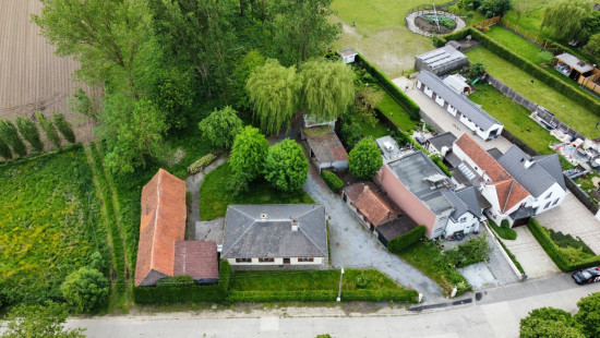 Beveren Dries - 88 - lot 3 - 8791