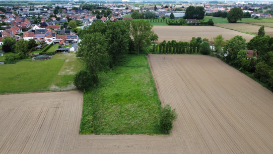 Beveren Dries - 88 - lot 3 - 8791