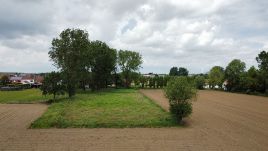 Beveren Dries - 88 - lot 3 - 8791