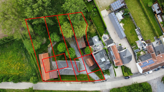 Beveren Dries - 88 - lot 3 - 8791