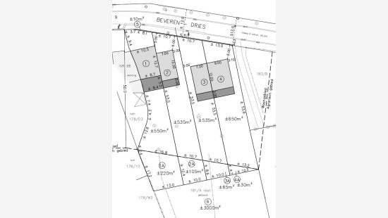 Beveren Dries - 88 - lot 3 - 8791