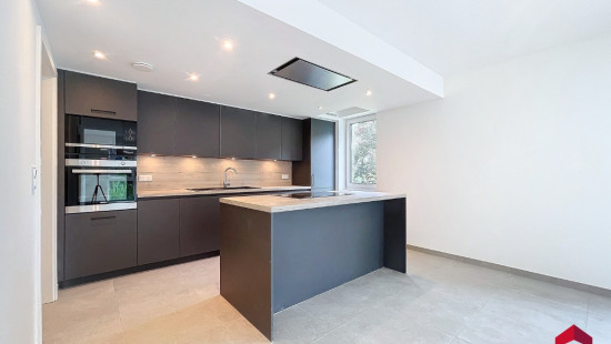 Rue Henri de Louvain - 65 - 12 - 12 - 4020