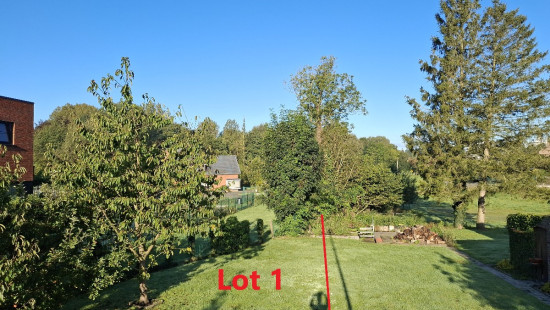 Frans van der Steenstraat - 125 - - 1750